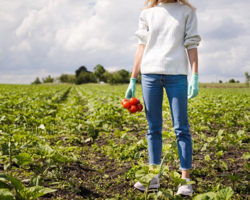 nutrition-vegetale-et-sols (5)