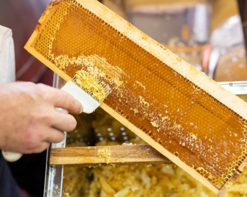 production_miel (4)