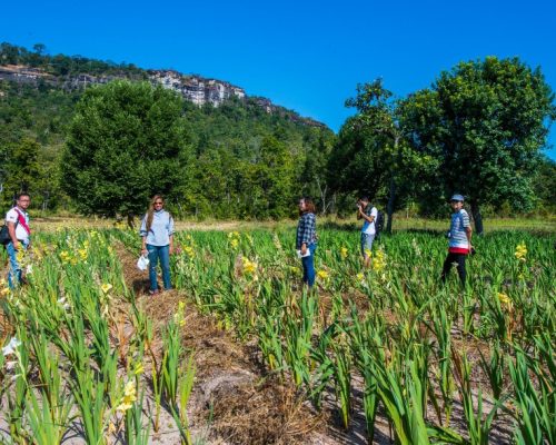 productions en vergers et maraîchage (2)